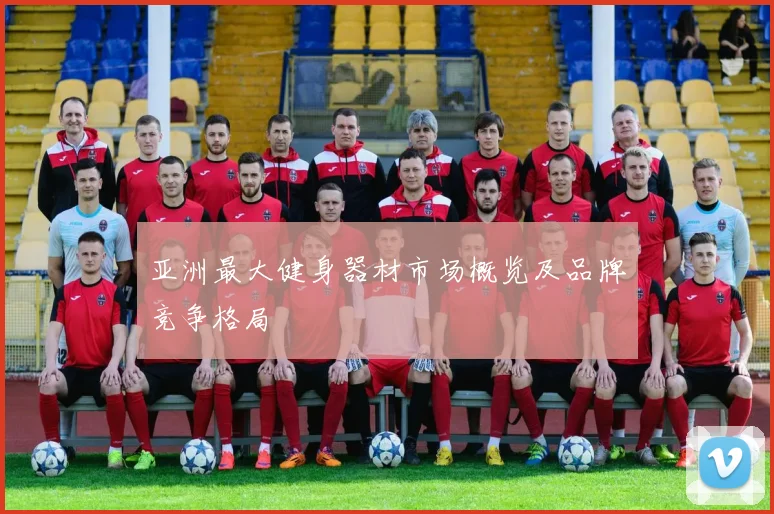 亚洲最大健身器材市场概览及品牌竞争格局