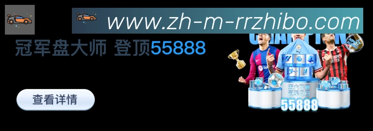 未来规划
